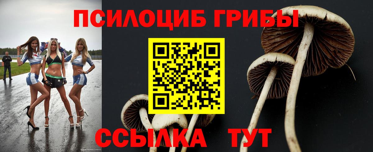 Псилоцибиновые грибы мухоморы  Вход с VPN  Симферополь 